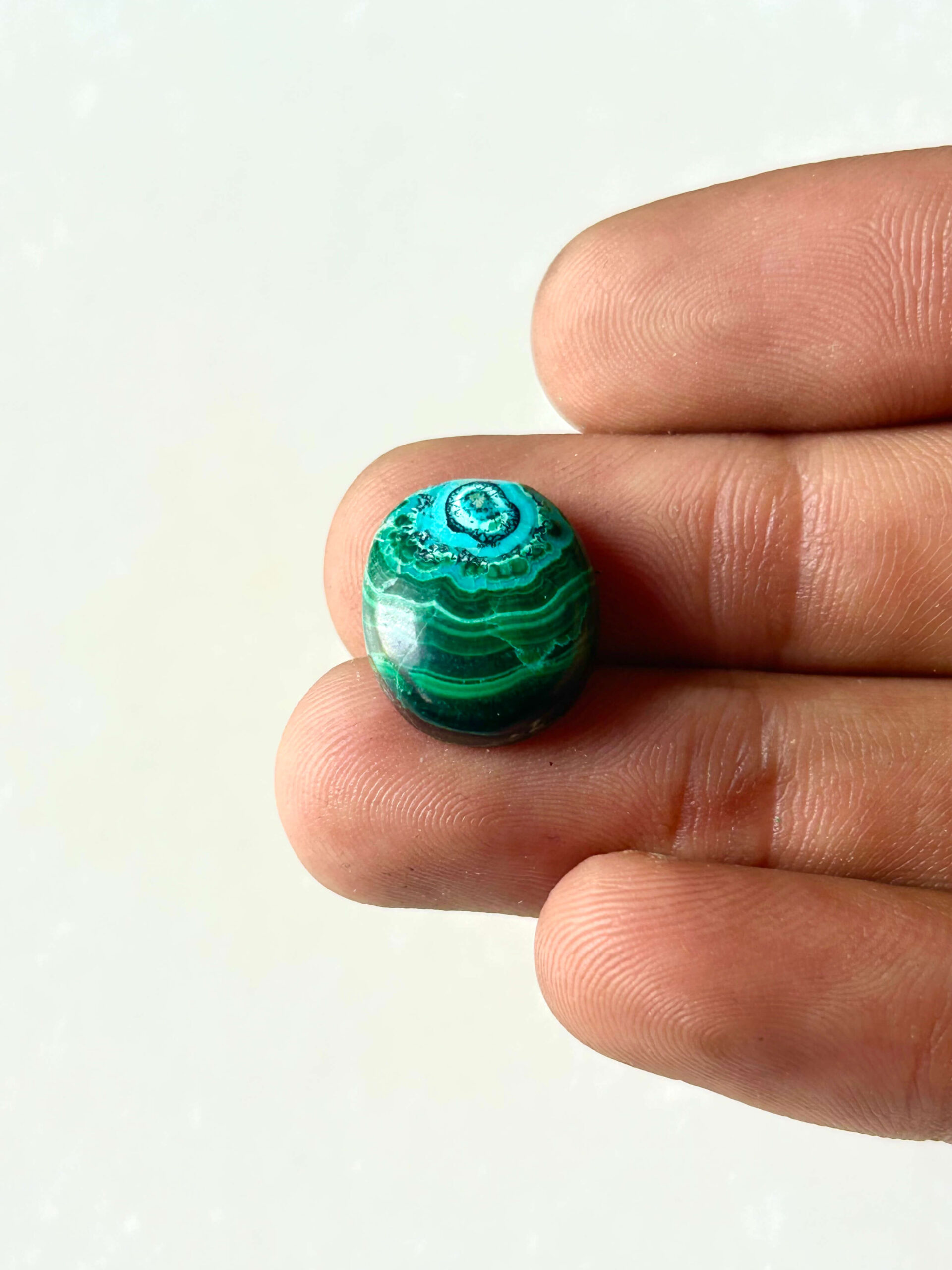 16 mm Malachite Chrysocolla Cabochon