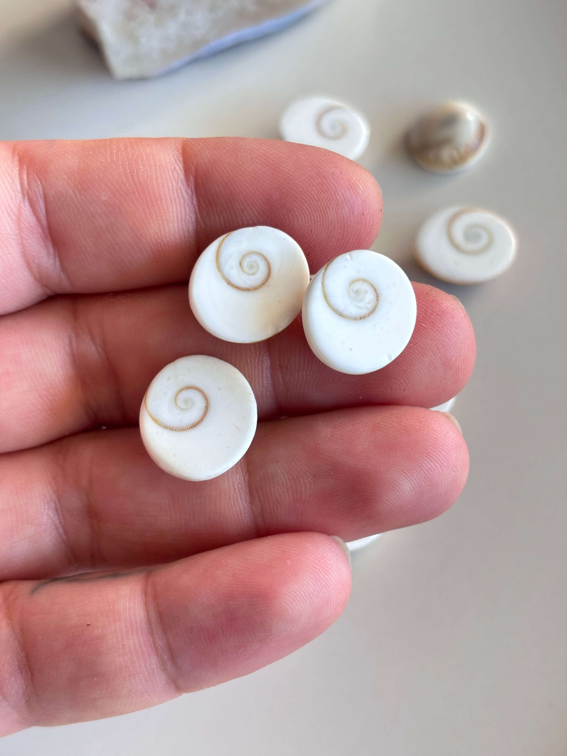 15-20mm Basic quality Shiva Eye Shell - Image 4
