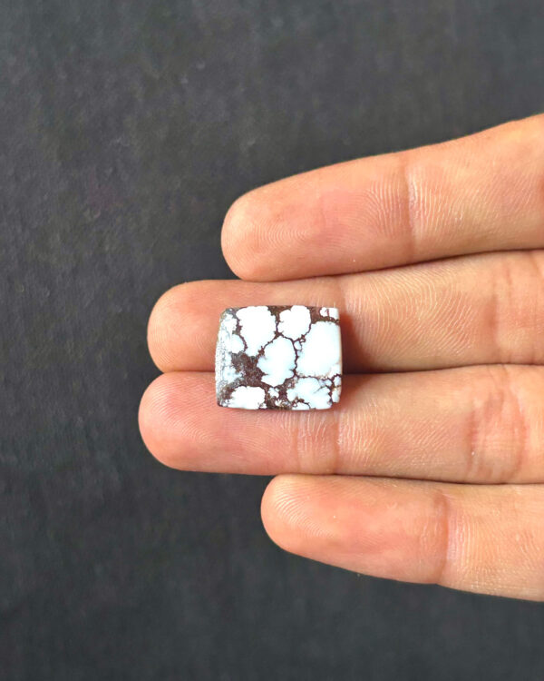 18mm Natural Wild Horse Magnesite Gemstone