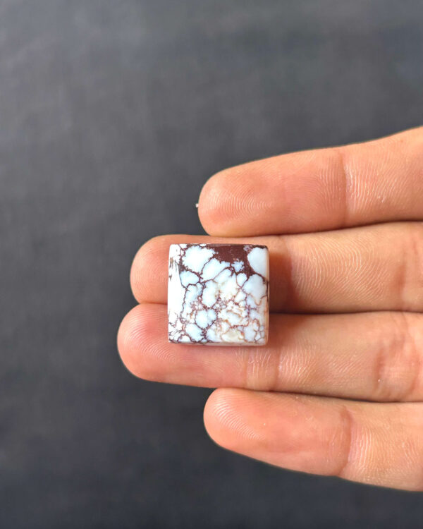 18mm Polished Wild Horse Magnesite Cabochon