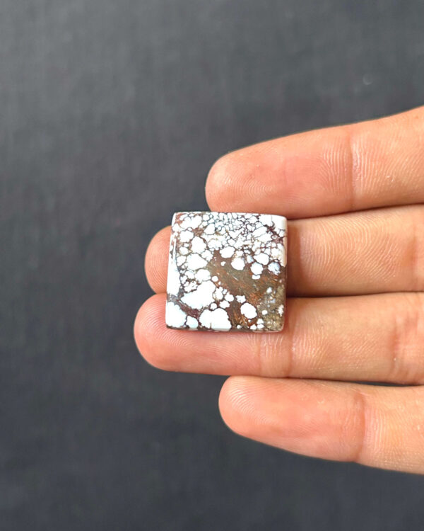 22mm Wild Horse Magnesite Polished Stone
