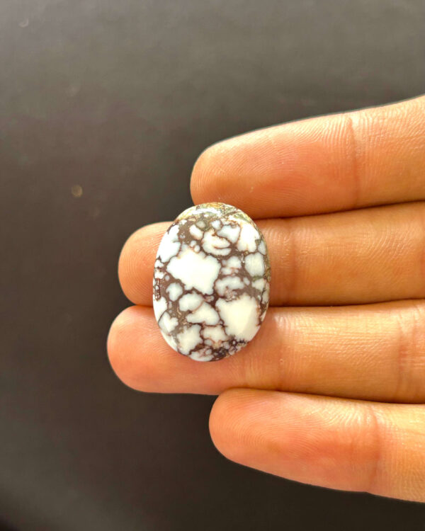 30mm Wild Horse Magnesite Jewelry Stone
