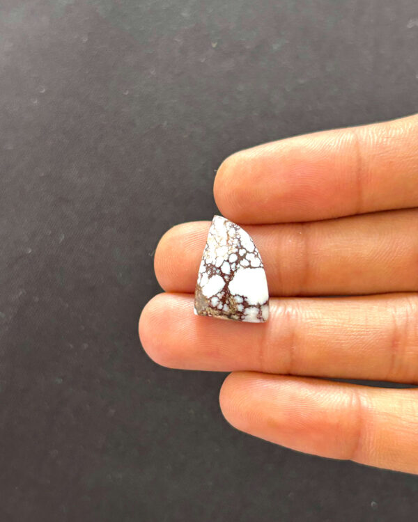 19mm Polished Wild Horse Magnesite Stone