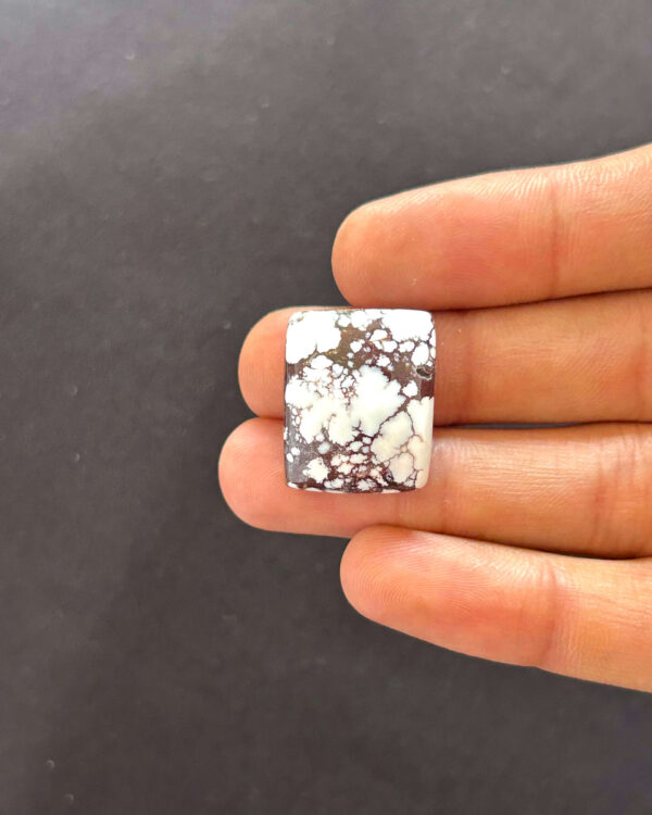 22mm Natural Wild Horse Magnesite Gemstone Stone