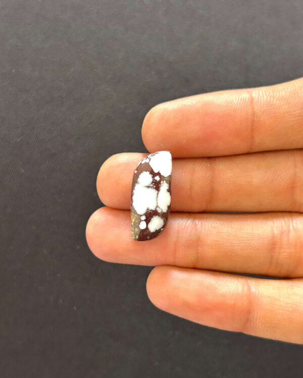 22mm Polished Wild Horse Magnesite Gemstone