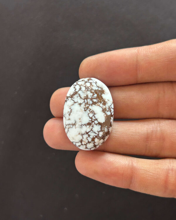 33mm Natural Wild Horse Magnesite Cabochon Stone