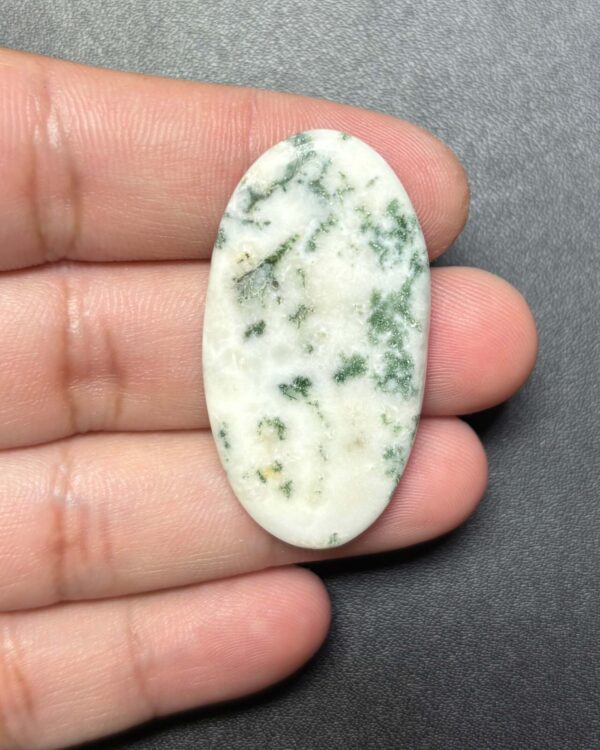 42mm Natural Tree Agate Cabochon