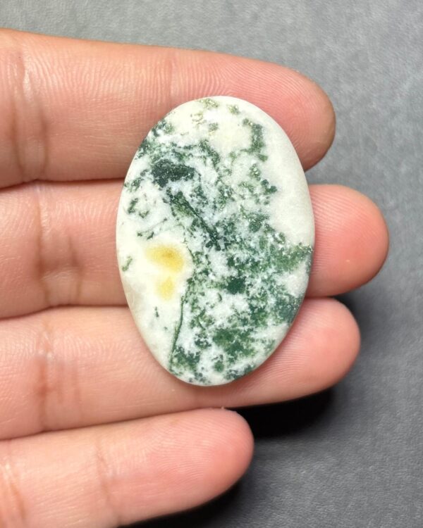39mm Tree Agate Cabochon with Natural Dendrites