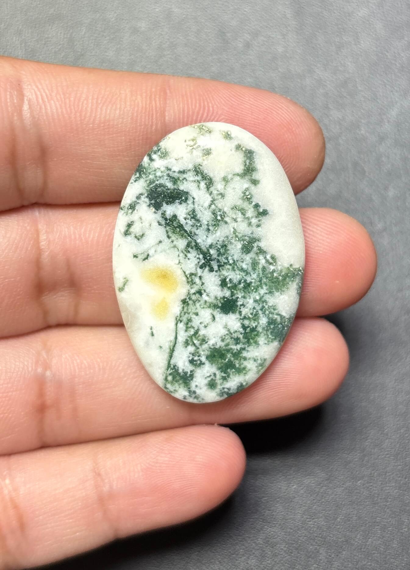 39mm Tree Agate Cabochon with Natural Dendrites