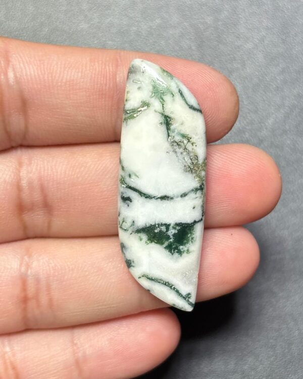 46mm Large Tree Agate Statement Gemstone
