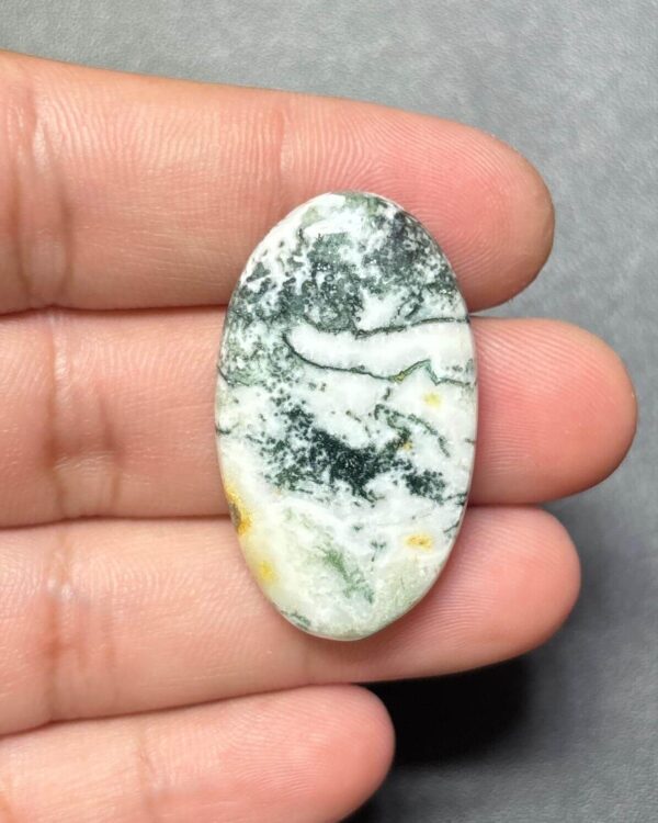 36mm Tree Agate Cabochon for Jewelry Making