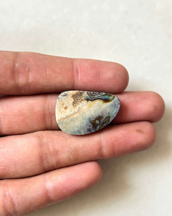 28mm Abalone Shell Cabochon