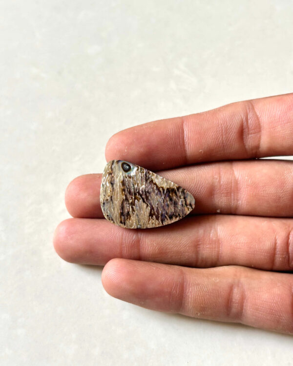 30mm Abalone Shell Cabochon