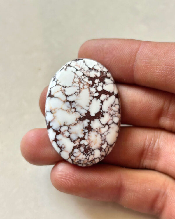 40mm Wild Horse Magnesite Cabochon