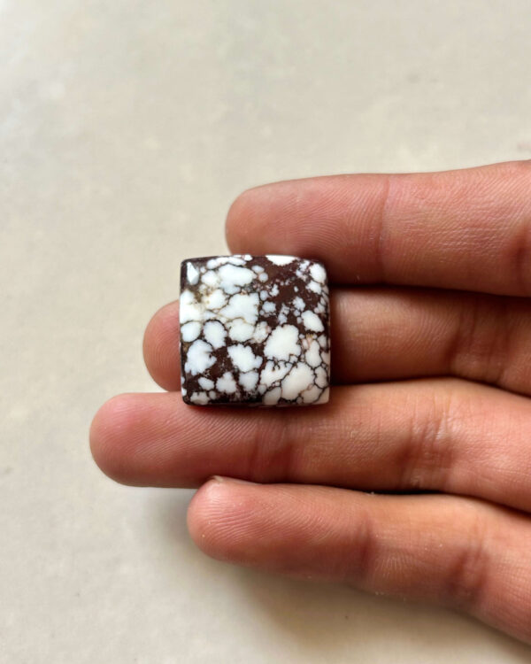 22mm Wild Horse Magnesite Cabochon