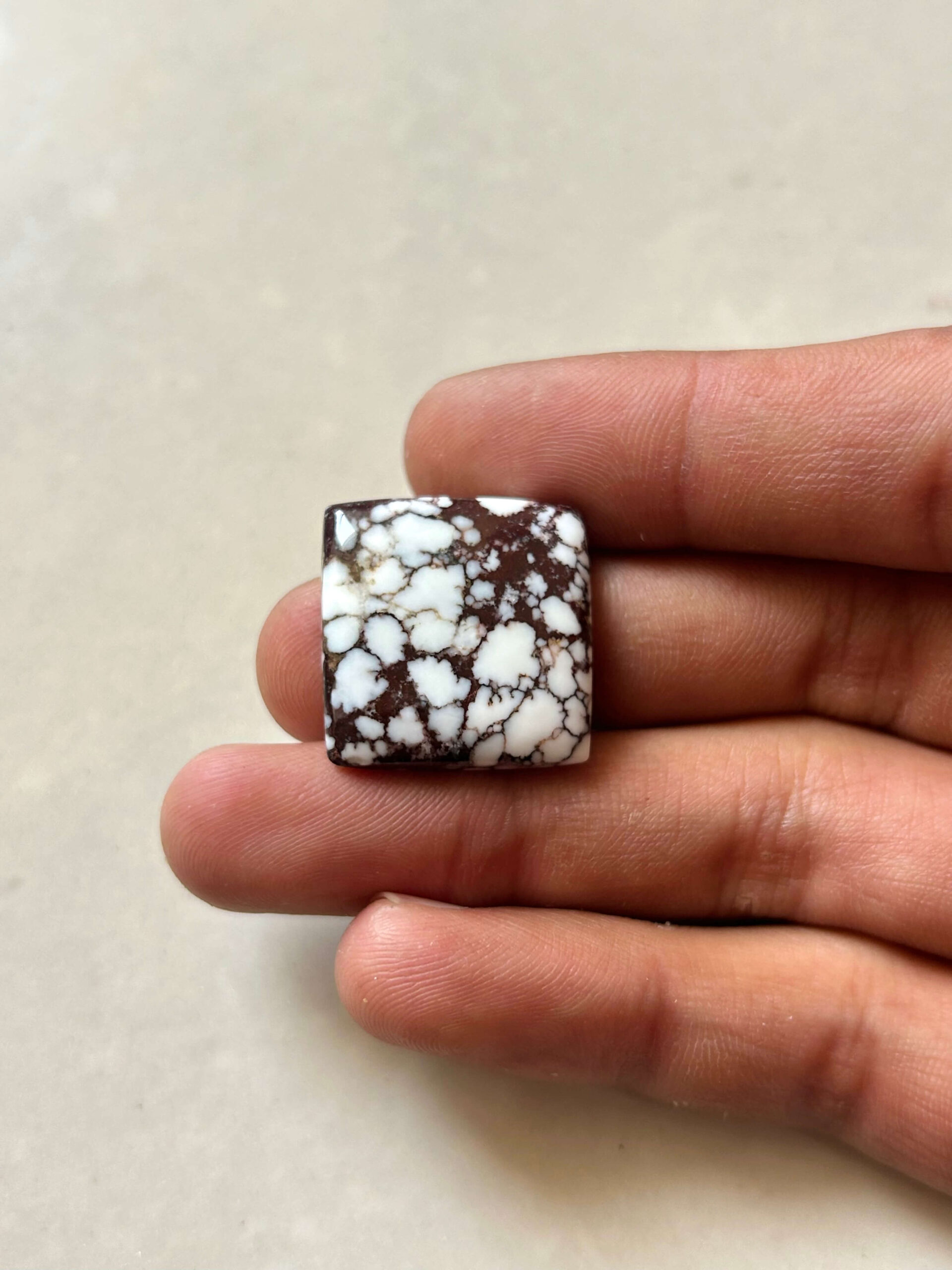 22mm Wild Horse Magnesite Cabochon