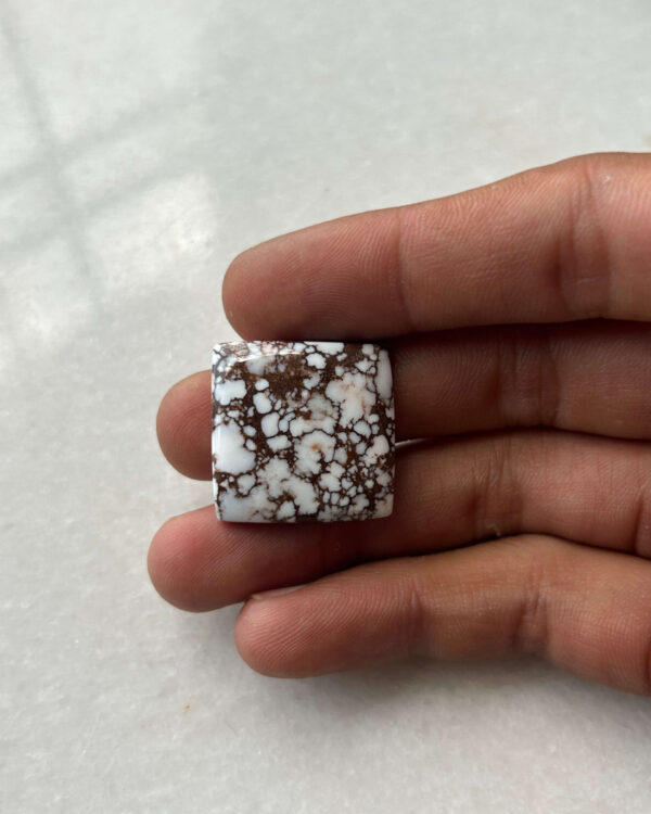 23mm Wild Horse Magnesite Cabochon