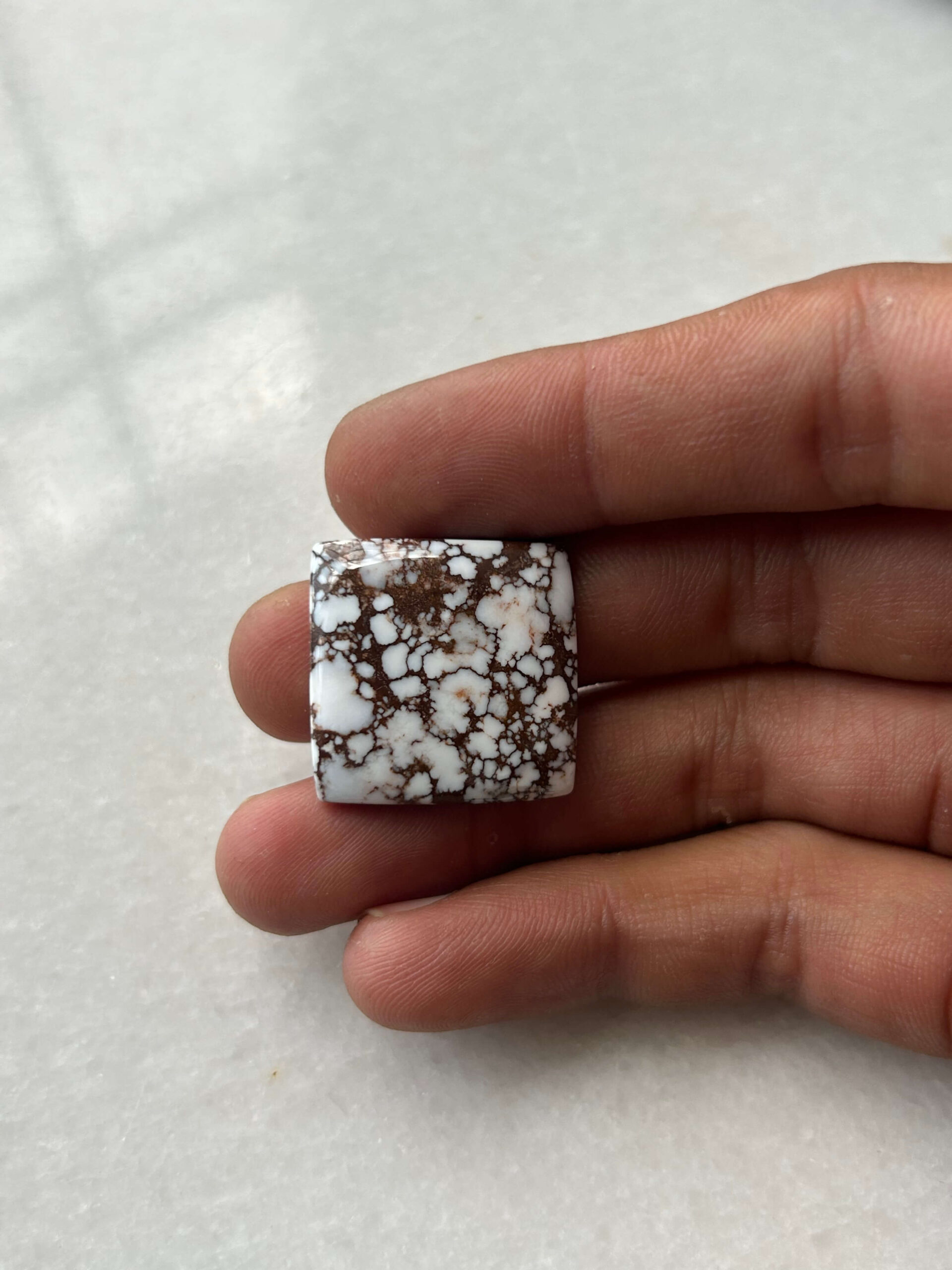23mm Wild Horse Magnesite Cabochon