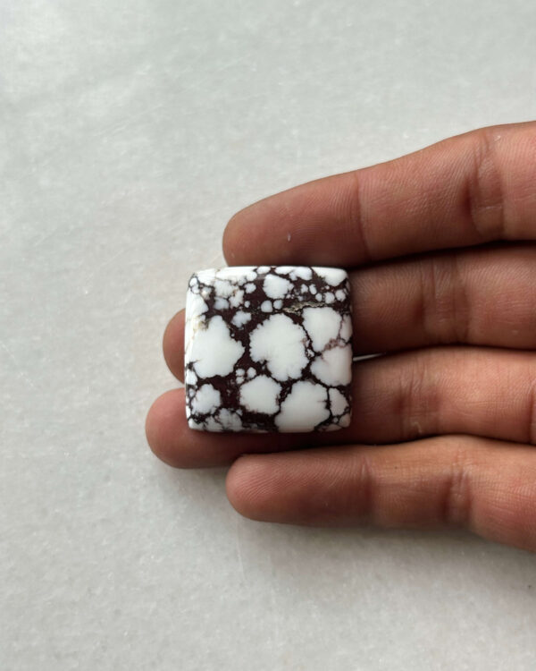 29mm Wild Horse Magnesite Cabochon