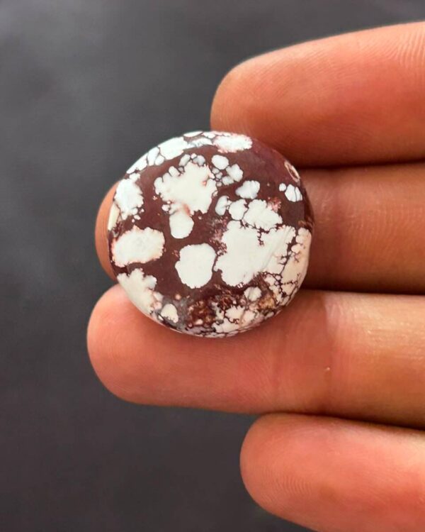 24mm Wild Horse Magnesite Polished Gemstone
