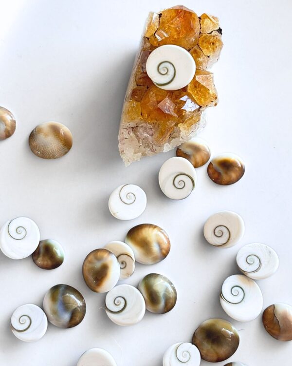 Shells