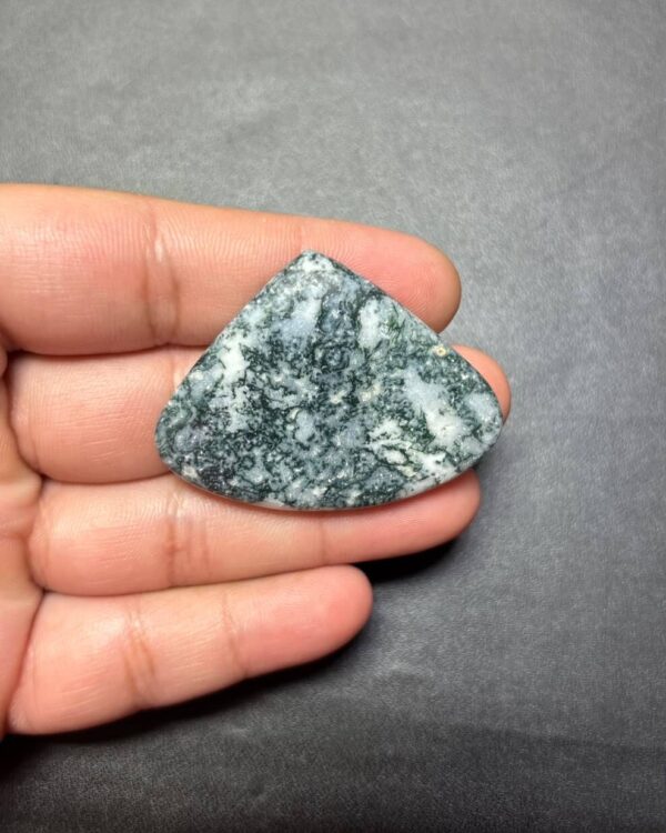 36mm Natural Tree Agate Cabochon – Unique Nature-Inspired Pattern