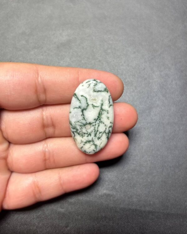 38mm Natural Tree Agate Cabochon – One of a Kind Collector Stone