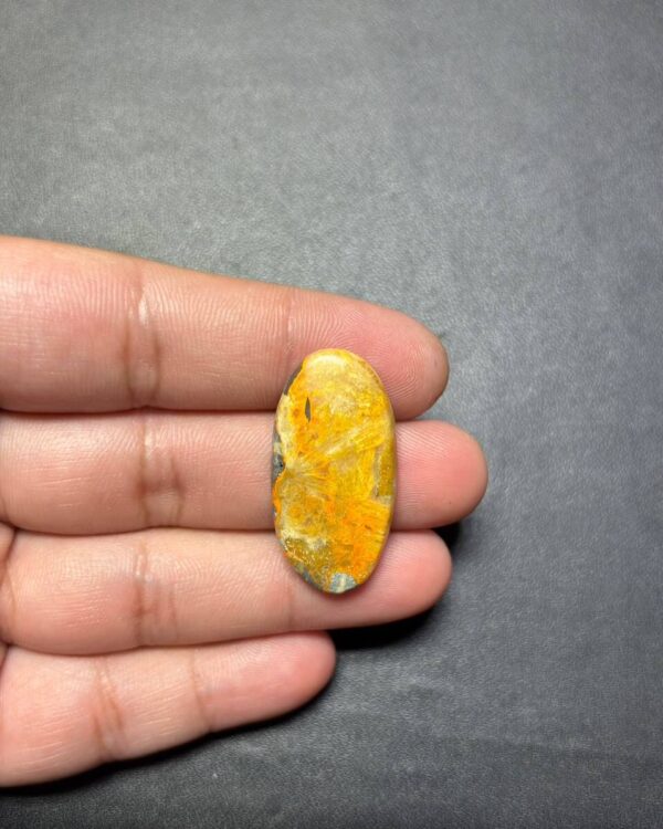 34mm Bumblebee Jasper Cabochon for Wire Wrapping