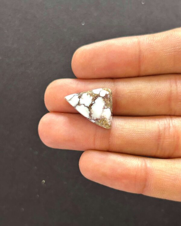 19mm Wild Horse Magnesite Cabochon Stone